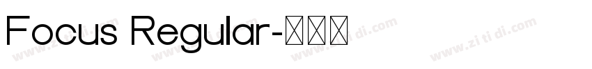Focus Regular字体转换